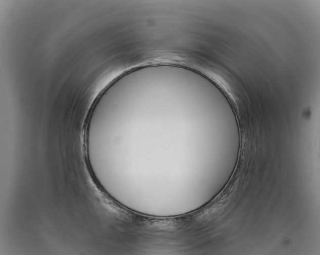 X0000090931047200707301111