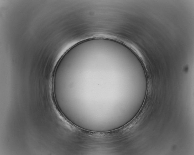 X0000090931048200707301111