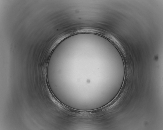X0000090931049200707301111