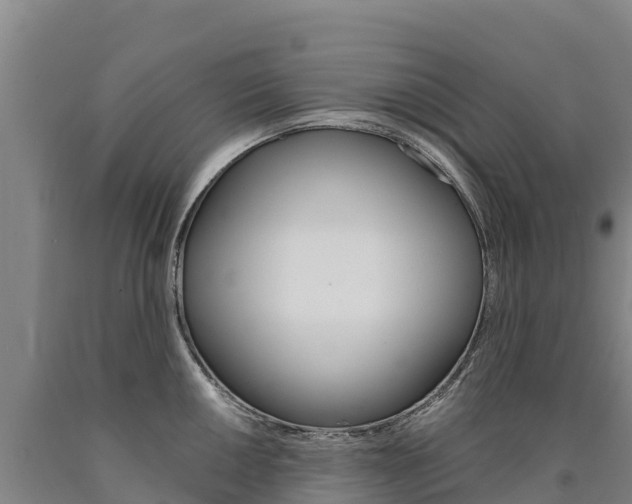 X0000090931050200707301111
