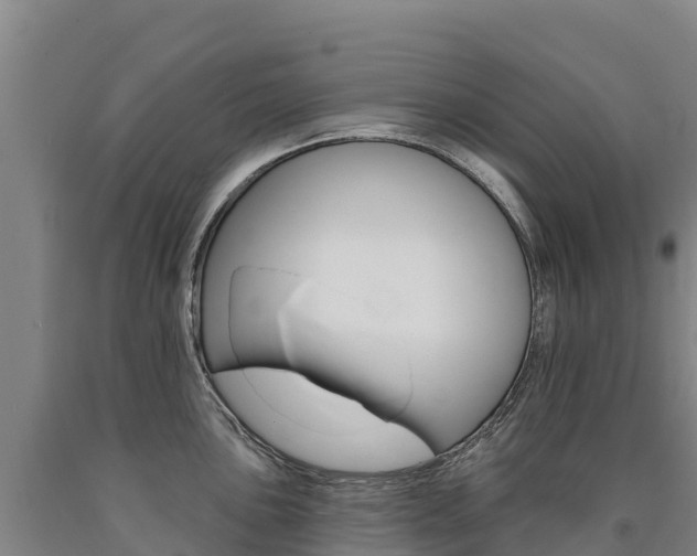 X0000090931051200707301111