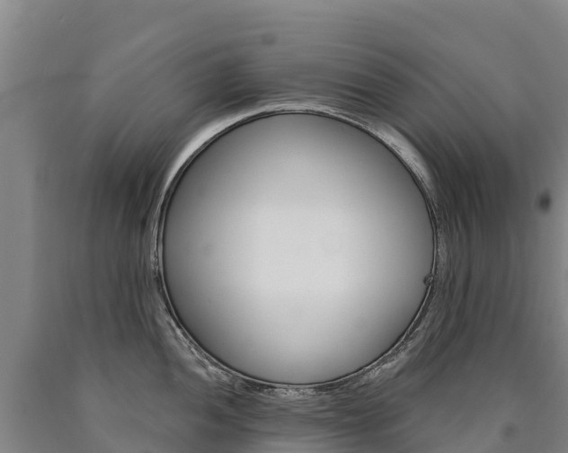 X0000090931052200707301111