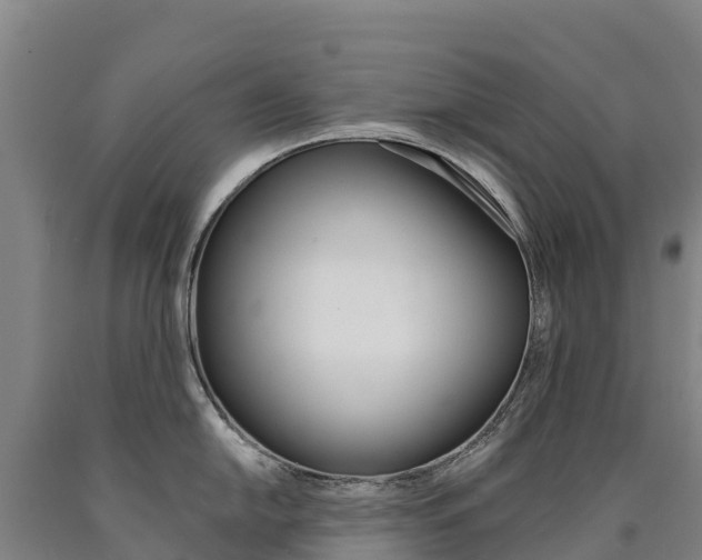 X0000090931054200707301111
