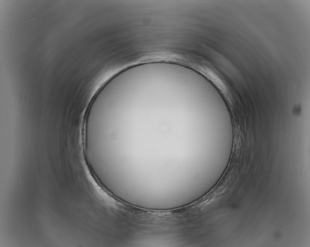 X0000090931055200707301111