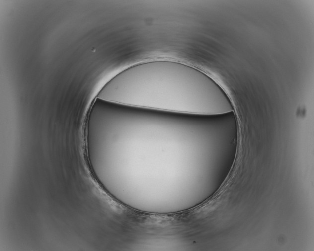 X0000090931056200707301111