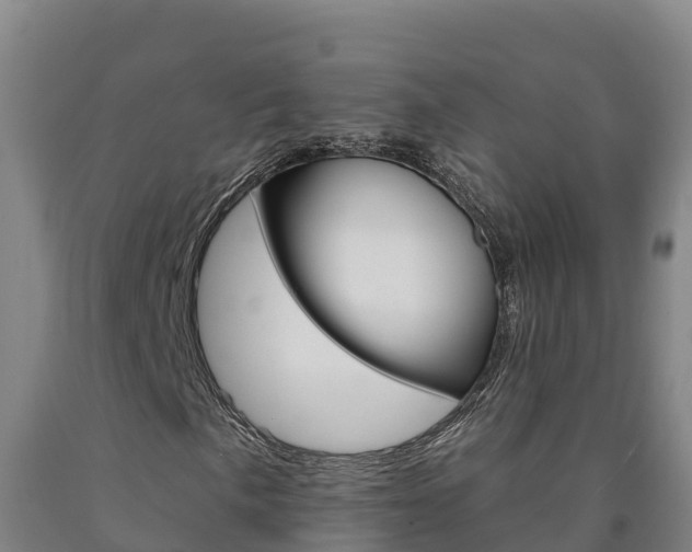 X0000090931057200707301110