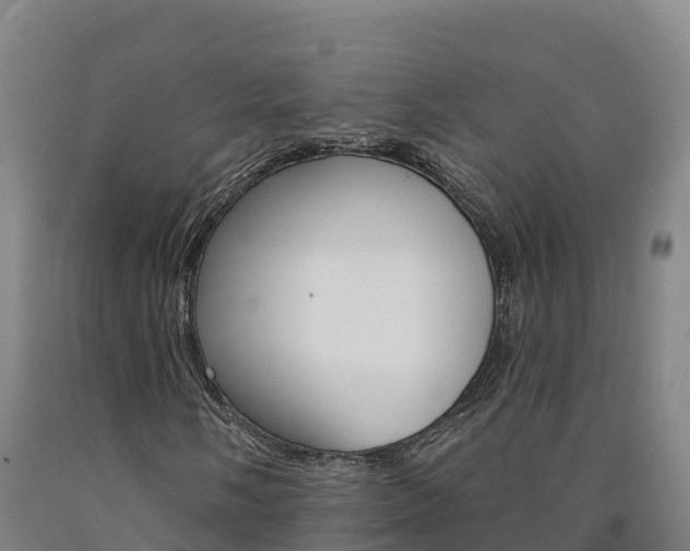 X0000090931058200707301110