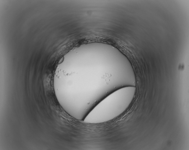X0000090931059200707301110