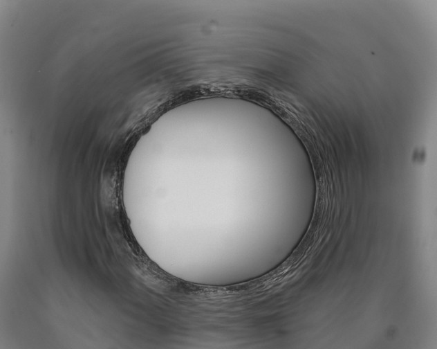 X0000090931060200707301110