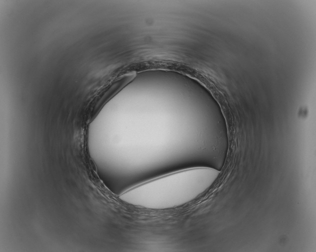 X0000090931061200707301110