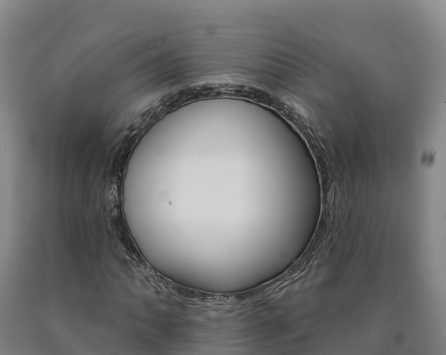 X0000090931062200707301110
