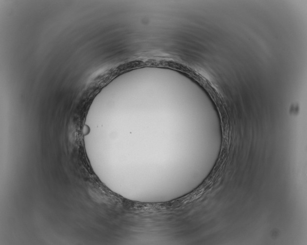 X0000090931063200707301110