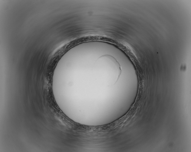 X0000090931064200707301110