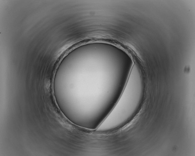 X0000090931065200707301110