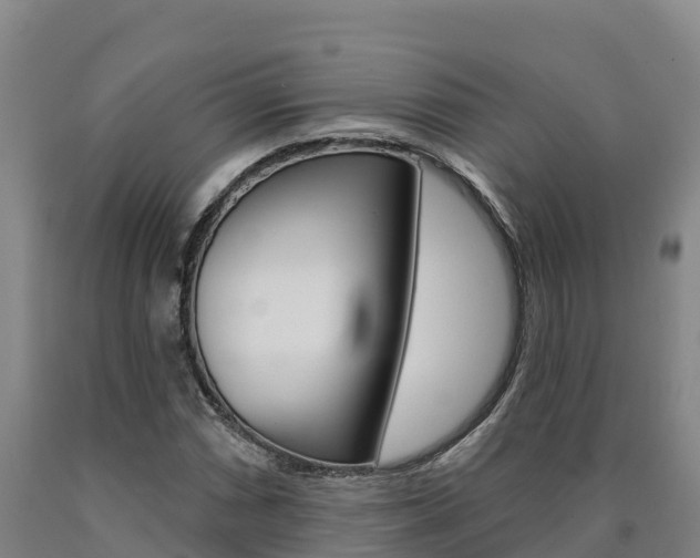 X0000090931066200707301110