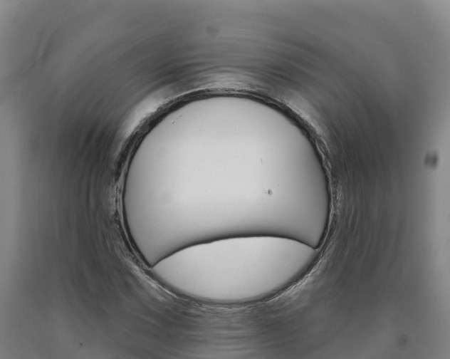 X0000090931067200707301110