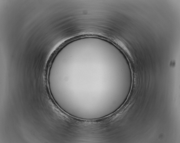 X0000090931068200707301110