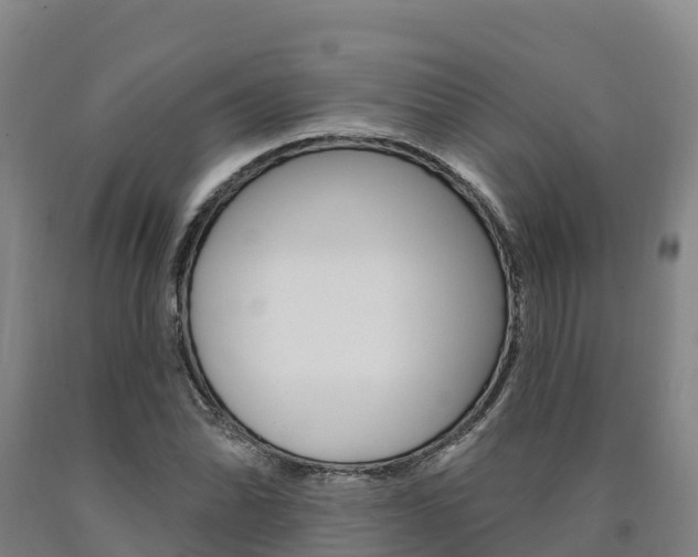 X0000090931070200707301110