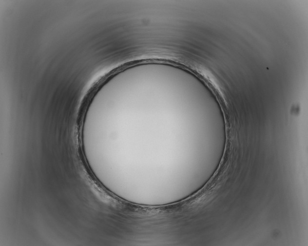 X0000090931072200707301110