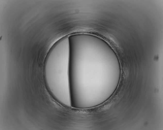 X0000090931073200707301110