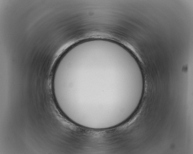 X0000090931074200707301110