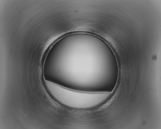X0000090931077200707301110
