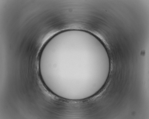 X0000090931078200707301110