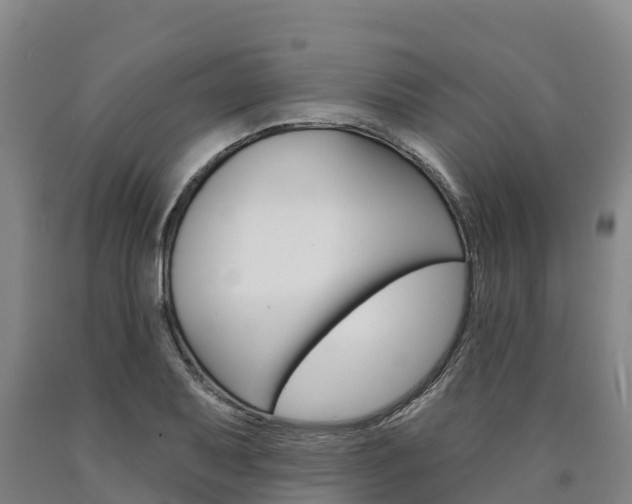 X0000090931079200707301110