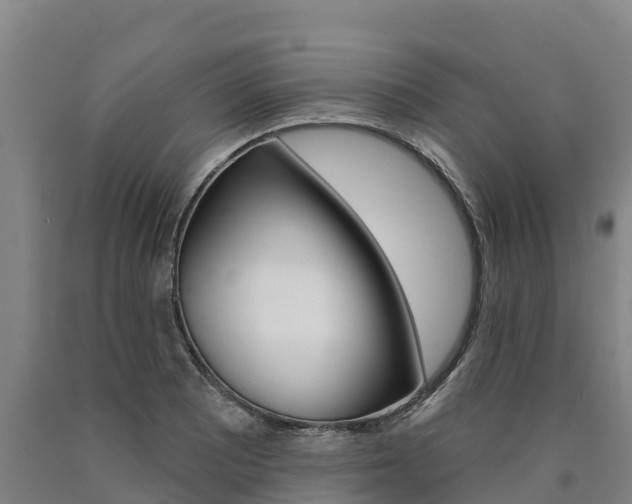 X0000090931081200707301110