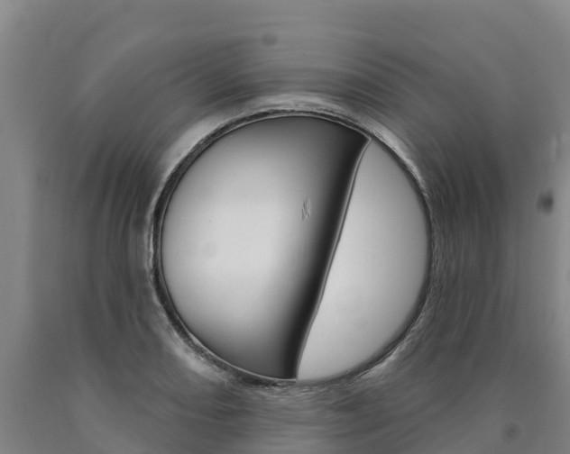 X0000090931082200707301110