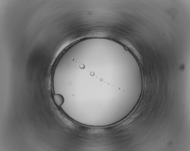 X0000090931083200707301110