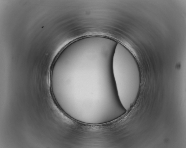 X0000090931084200707301110