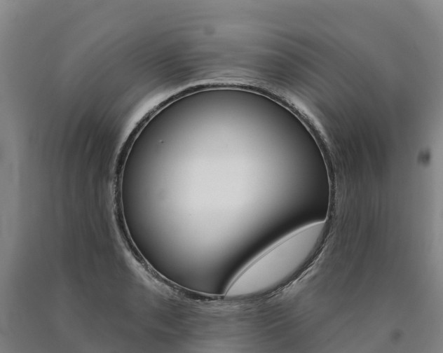 X0000090931085200707301110