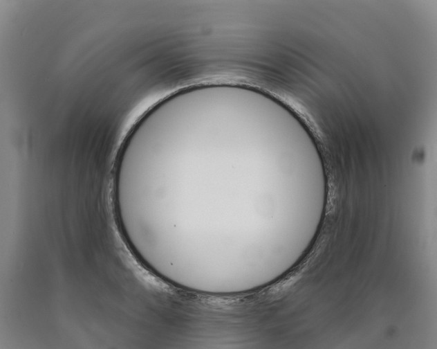 X0000090931086200707301110