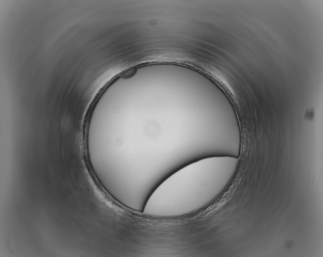 X0000090931087200707301109