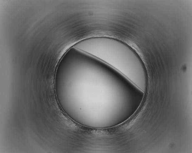 X0000090931089200707301109