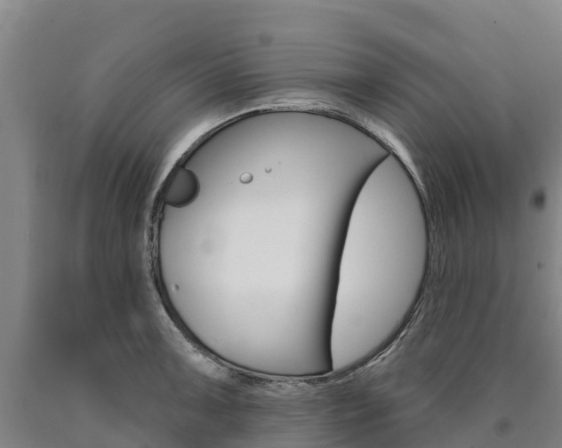 X0000090931091200707301109