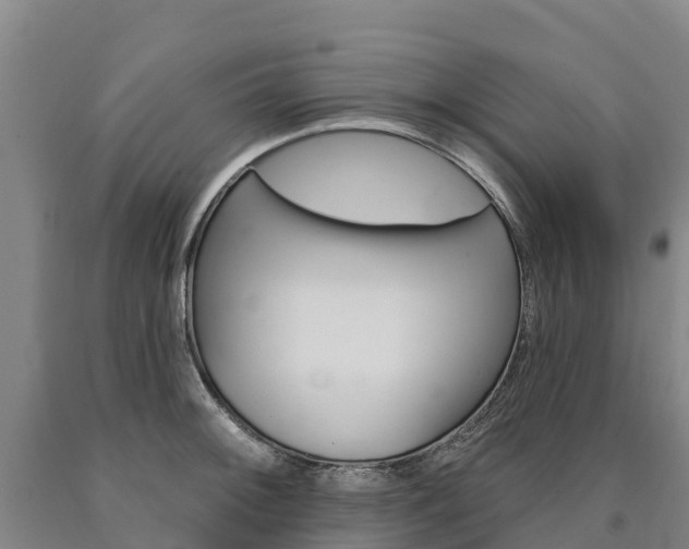 X0000090931092200707301109