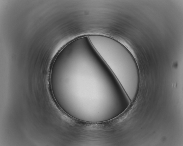 X0000090931093200707301109
