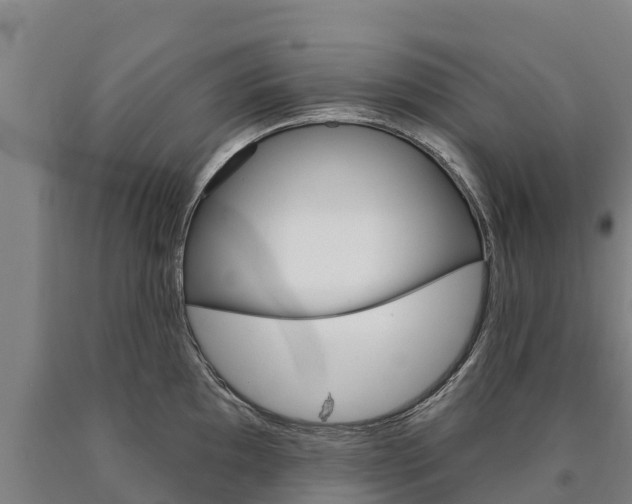 X0000090931097200707301109