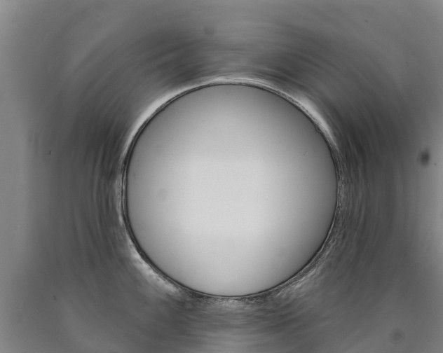 X0000090931100200707301109