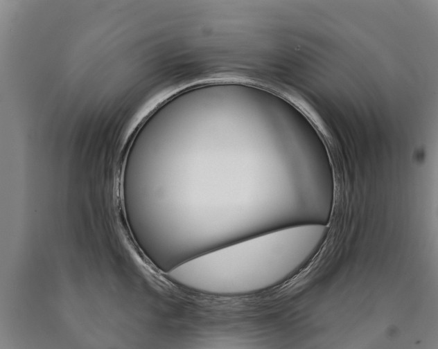 X0000090931101200707301109