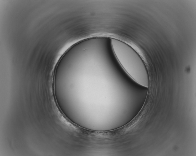 X0000090931102200707301109