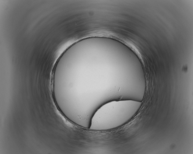 X0000090931103200707301109
