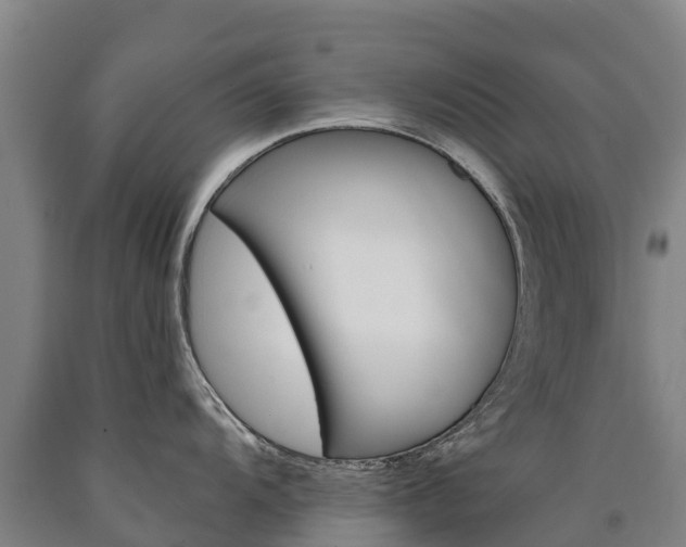 X0000090931104200707301109