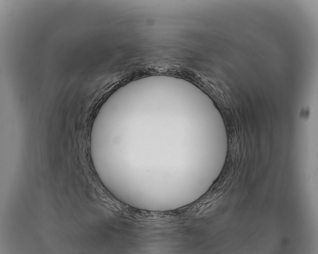 X0000090931105200707301109
