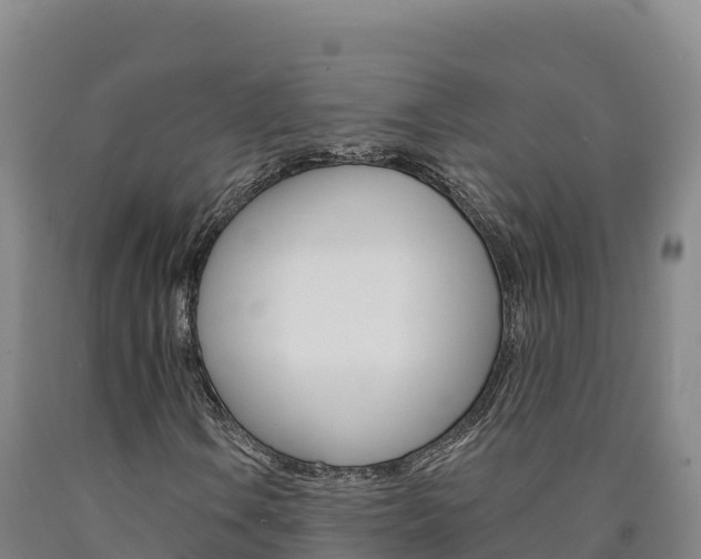 X0000090931106200707301109