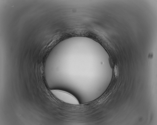 X0000090931107200707301109