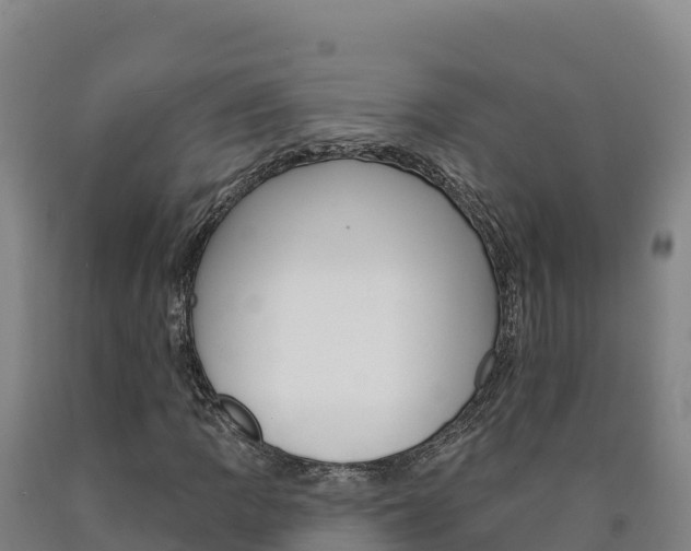 X0000090931109200707301109