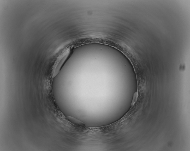 X0000090931110200707301109